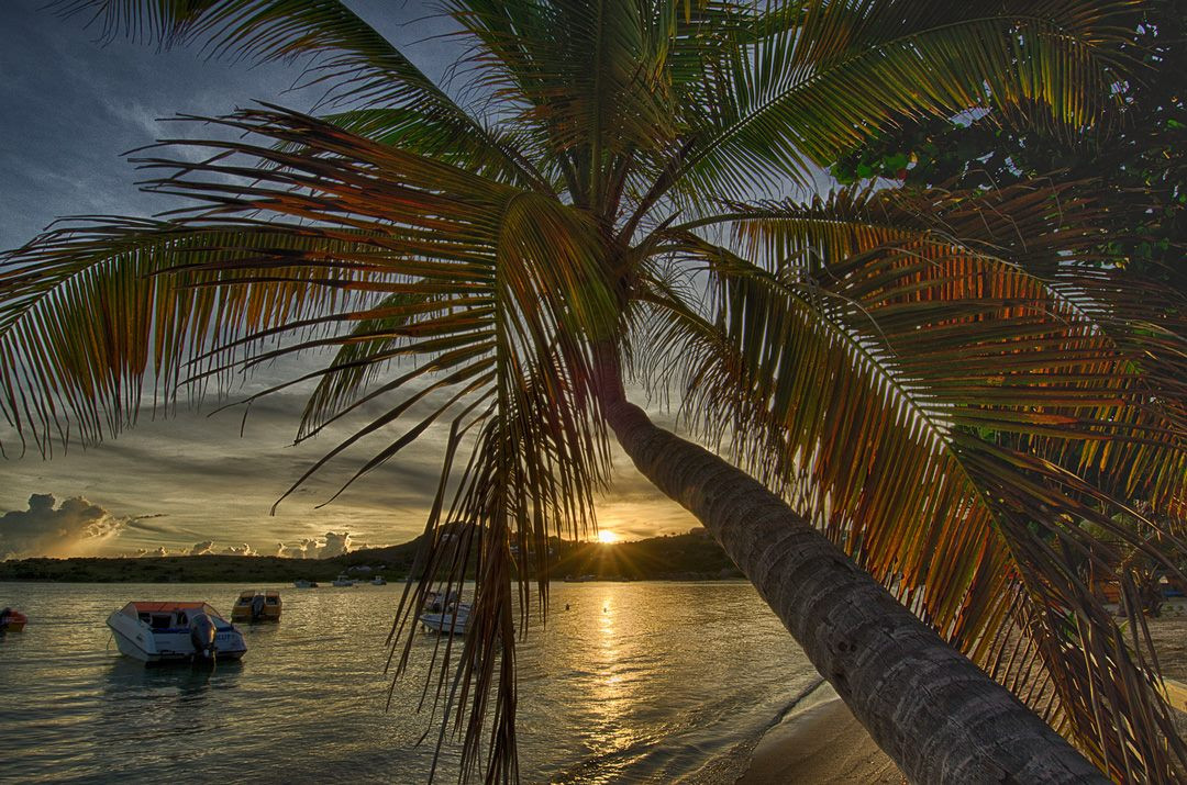 Why you should visit St Barts